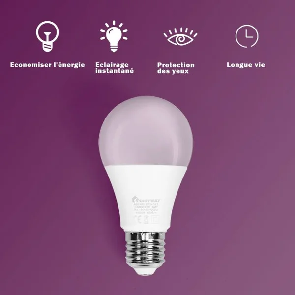Lot de 12 Ampoules Led Culot E27 à Visser A60 9w Durée de Vie 25000 Heures 6500k de Température de Couleur Non Dimmable