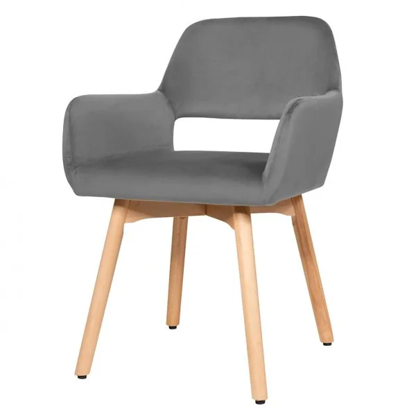 Lot de 2 Chaises avec Accoudoirs et Coussin Rembourré Chaises de Loisirs avec Pieds en Hêtre Gris foncé