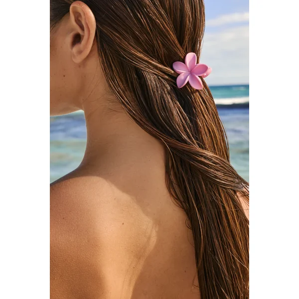 Lot de 2 pinces à cheveux