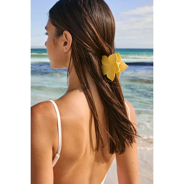 Lot de 2 pinces à cheveux