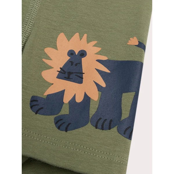 Lot de 3 boxers lion pour enfant garçon - Soins Bébé Naturels & Produits Maman Après Naissance