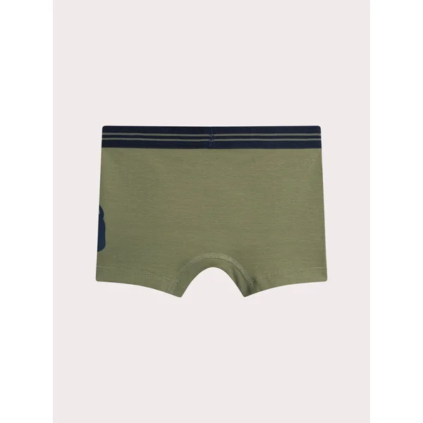 Lot de 3 boxers lion pour enfant garçon - Soins Bébé Naturels & Produits Maman Après Naissance
