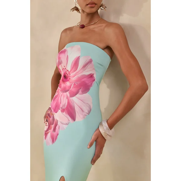 Lumia | Robe Longue Bandeau Vert Sauge à Imprimé Rose Placé