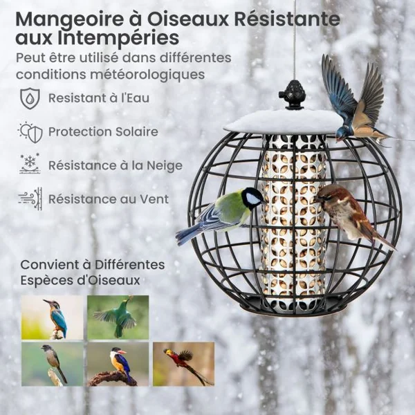 Mangeoire à Oiseaux Suspendue en Métal d'Extérieur Mangeoire à Oiseaux Sauvages pour Maïs Cacahuètes Design anti-écureuil
