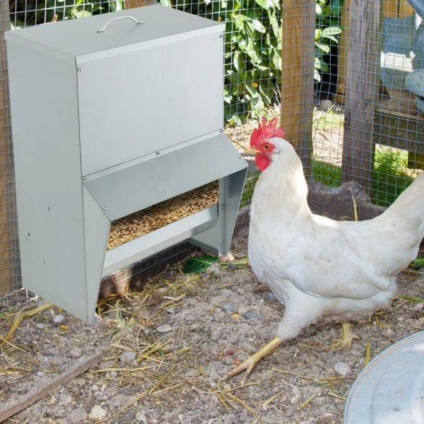 Mangeoire à Poulet Galvanisée de Capacité de 22 kg Fixation Murale avec Couvercle Distributeur de Nourriture Sans Gaspillage Argent