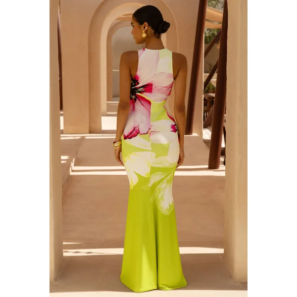Marlo | Robe longue à col montant imprimé floral citron vert avec détails froncés