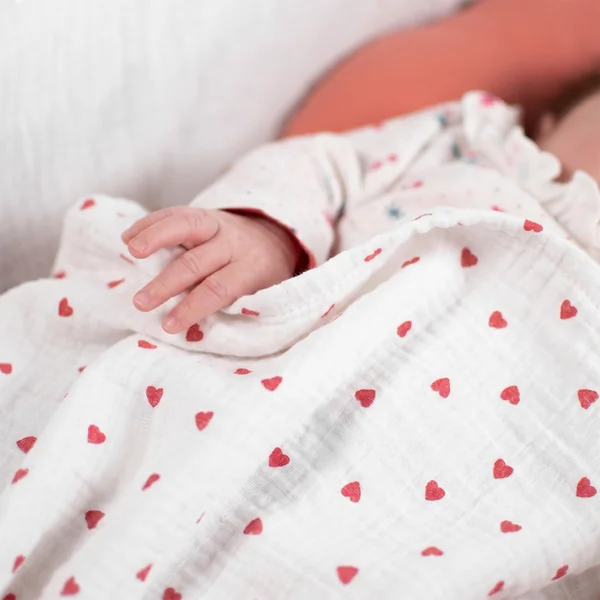 Maxi double gauze swaddle Lovio