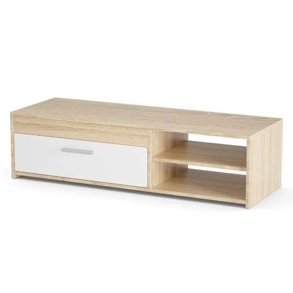 Meuble TV Banc TV Multimédia 120 CM pour TV Jusqu'à 49 " avec 1 Placard Latéral et 2 Étagères à Stockage