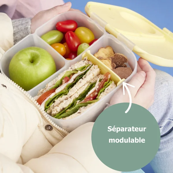 Mini children's bento lunch box