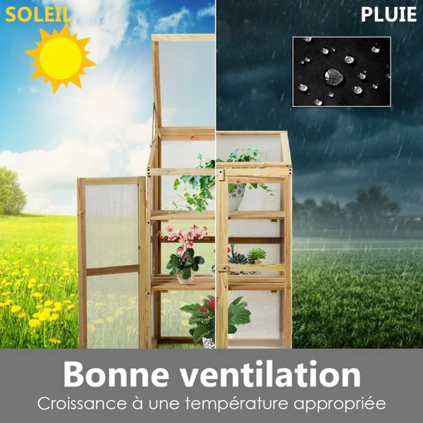 Mini Serre de Jardin Etagères à 3 Niveaux pour Jardin Porche Capacité par Etagère 20 kg en Bois de Sapin 60x45x100cm