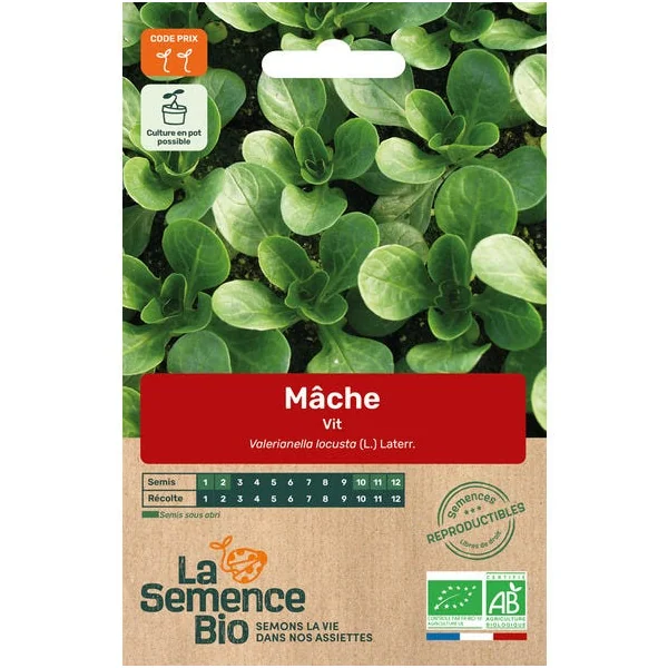 Mâche Vit semence 2g