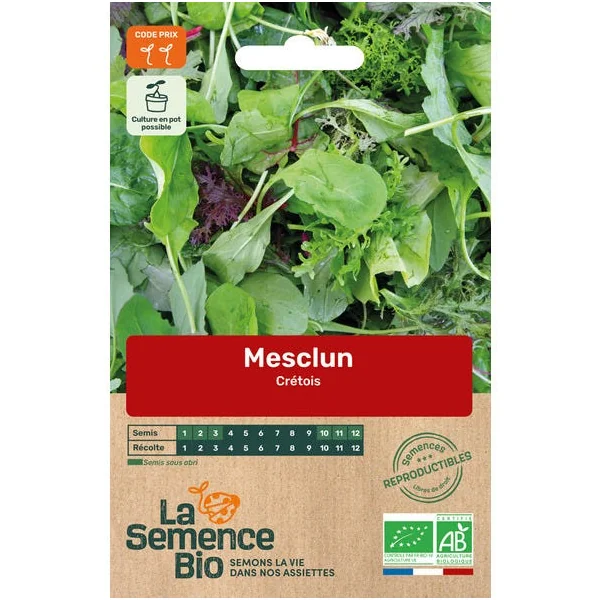 Mélange Mesclun crétois semence 1g