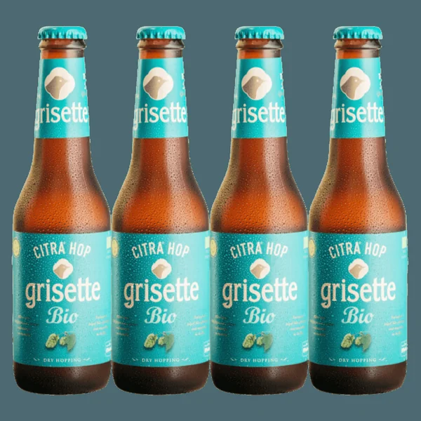 Pack Bière Triple Sans Gluten