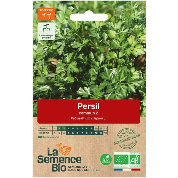 Persil commun semence 2,6g