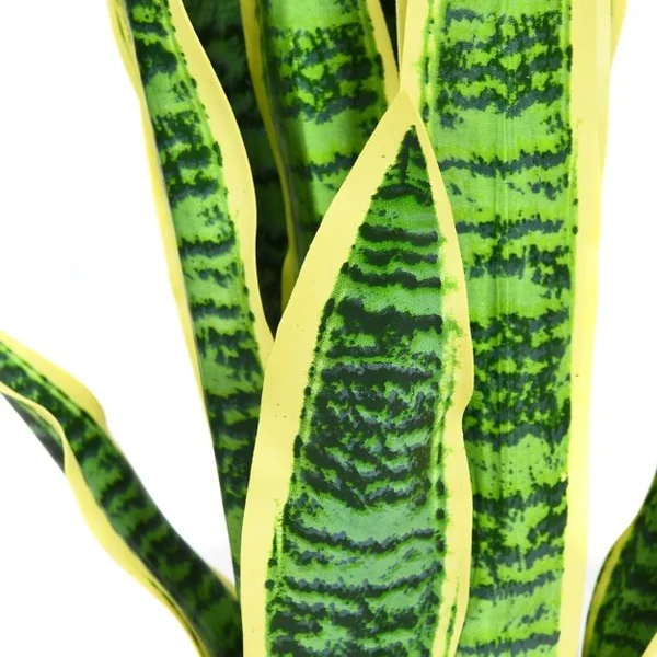 Plante Artificielle 90 cm en Pot 20 Feuilles Sansevieria Trifasciata Déco d’Intérieur en PEVA Ciment PP Vert + Jaune