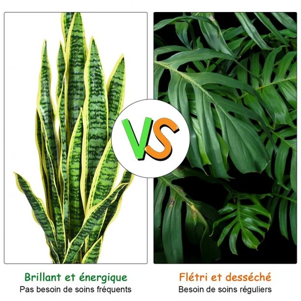 Plante Artificielle 90 cm en Pot 20 Feuilles Sansevieria Trifasciata Déco d’Intérieur en PEVA Ciment PP Vert + Jaune