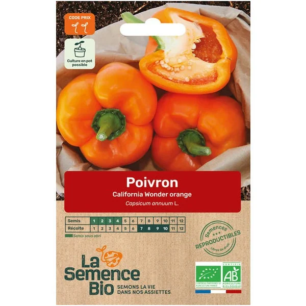 Poivron California Wonder orange semence 0,13g