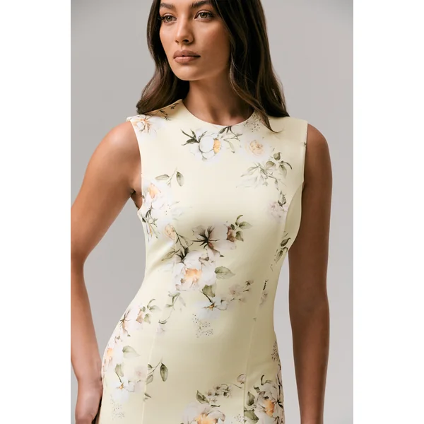 Priceless | Robe mi-longue sirène à col rond et imprimé citron