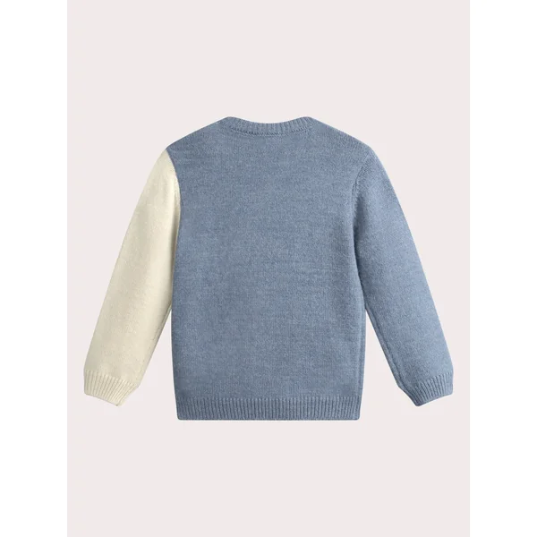 Pull bleu ciel animation ours polaire pour garçon - Soins Bébé Naturels & Produits Maman Après Naissance
