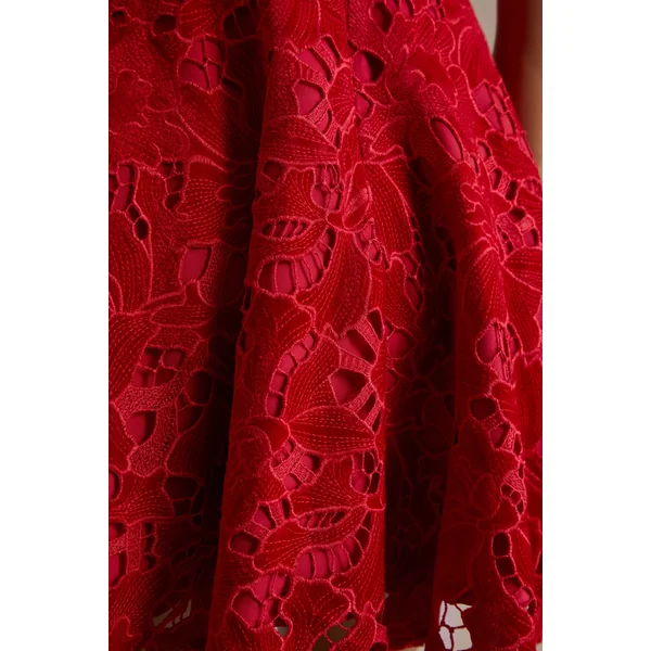 Roam | Mini-robe en dentelle rouge à col montant