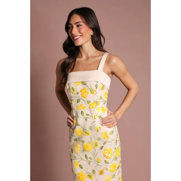 Robe Crayon À Sequins Floraux Coast Muse