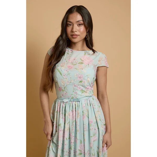 Robe Maxi En Mesh À Imprimé Hortensia Avec Manches Courtes Petite Taille