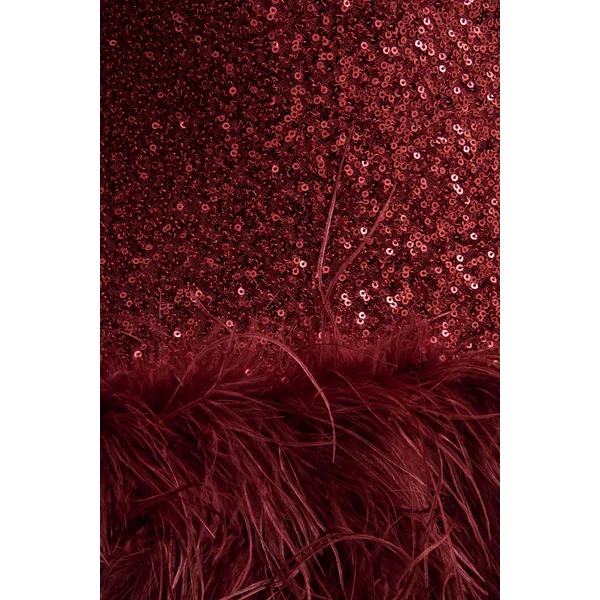 Rosalinda | Mini-robe en sequins bordeaux à col carré avec finition plumes