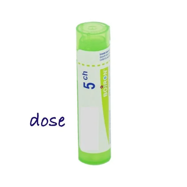Sambucus nigra dose 5 à 15CH - Boiron