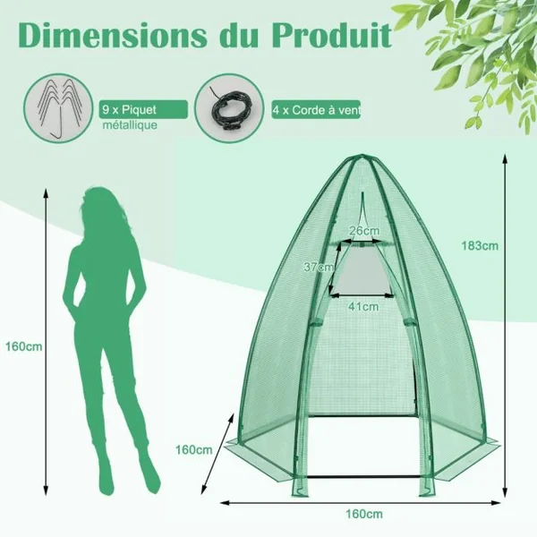 Serre de Jardin Portable Housse en PE 160x160x183cm avec Porte Enroulable Fenêtre en Treillis Etanche Cadre en Acier Vert