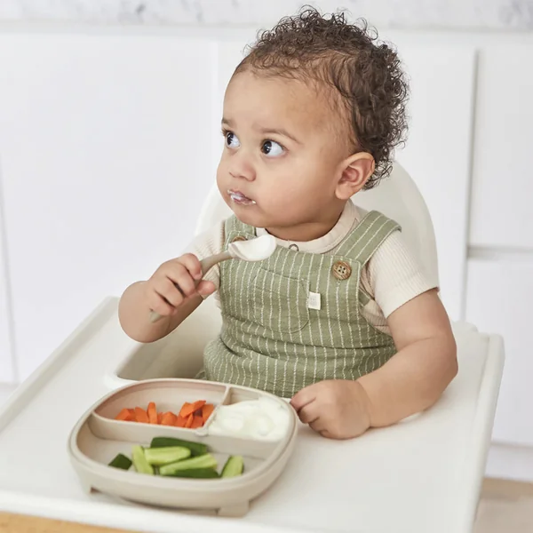 Suction plate with removable compartments