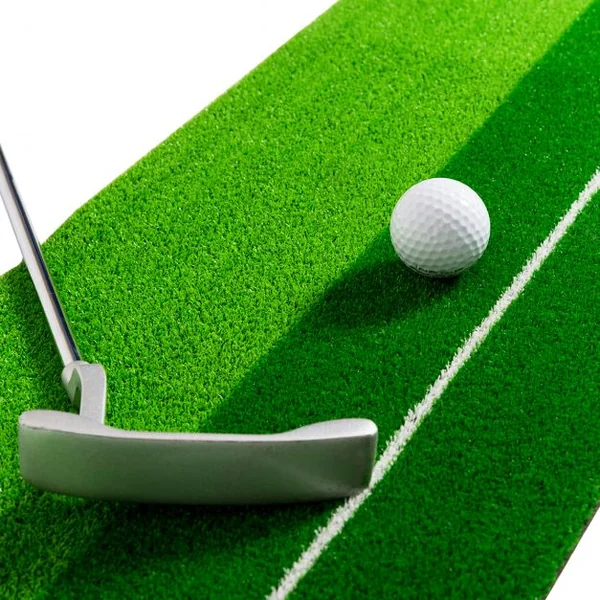 Tapis de Golf Putting mat portable Tapis de golf pour putting, 2 trous de 8.5/6.5 cm, Tapis en caoutchouc, 250x30x9cm