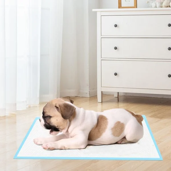 Tapis éducateurs pour Chiot 5 Couches Lot de 100 Tapis Absorant pour Animaux 60x60CM