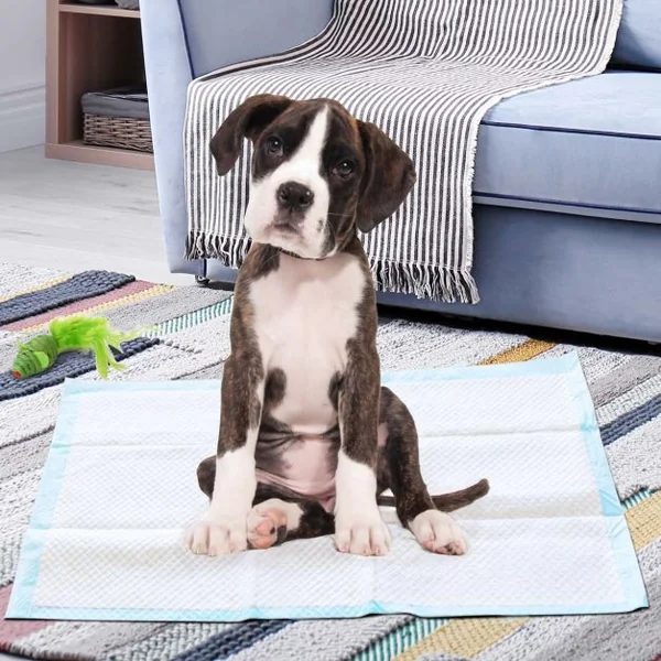 Tapis éducateurs pour Chiot 5 Couches Lot de 150 Tapis Absorant pour Animaux 60x90CM