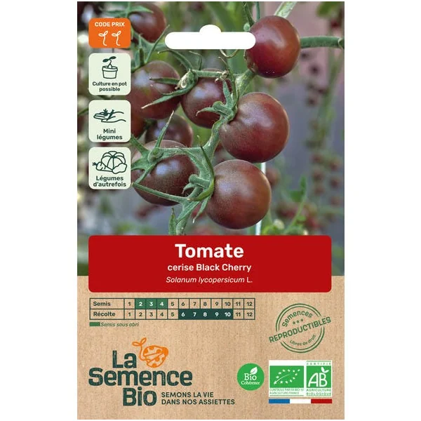 Tomate cerise Black Cherry semence 0,1g