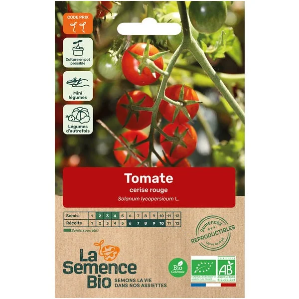 Tomate cerise rouge semence 0,1g