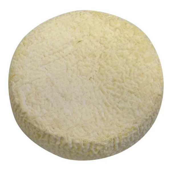 Tomme de chèvre affiné lait pasteurisé