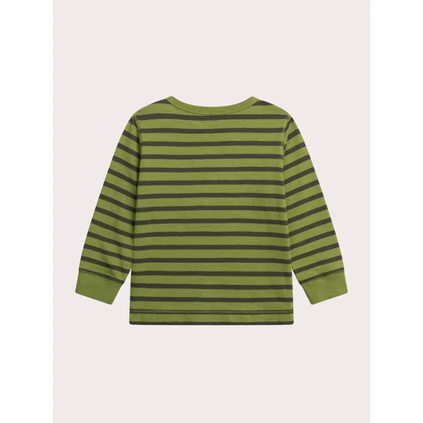 T-shirt manches longues rayé vert - Soins Bébé Naturels & Produits Maman Après Naissance