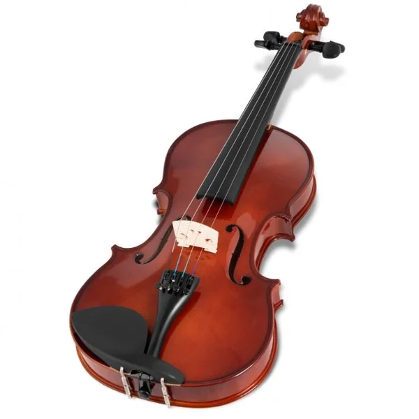 Violon Acoustique 4/4 avec Étui et Archet et Accessoires en Bois d’Épicéa et d’Érable, 58,5x21cm, Marron Foncé