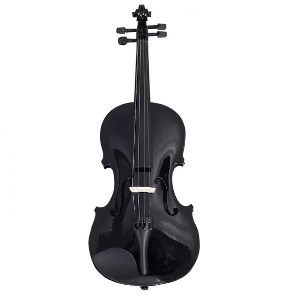 Violon Acoustique 4/4 de Haute Qualité pour Débutants et Amateurs en Bois de Hêtre et Érable, 81x25x12,7cm, Brun/Noir