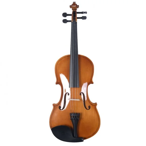 Violon Acoustique 4/4 de Haute Qualité pour Débutants et Amateurs en Bois de Hêtre et Érable, 81x25x12,7cm, Brun/Noir